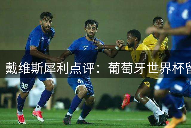 戴维斯犀利点评：葡萄牙世界杯留憾 维蒂尼亚未达预期